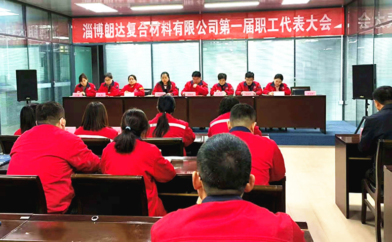 淄博朗達(dá)復(fù)合材料有限公司第一屆職工代表大會(huì)勝利召開